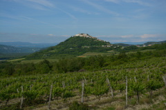 CRO_0928