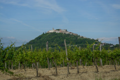 CRO_0933