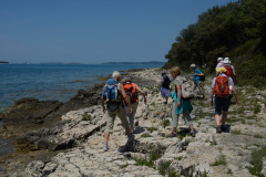 CRO_0973