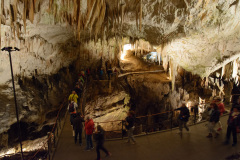 CRO_1128
