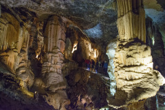 CRO_1156