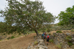 KYK_2739