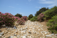 KYK_2779