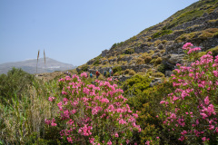 KYK_3088