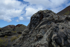 LAN_0193