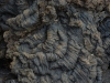 LAN_0172