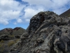 LAN_0193