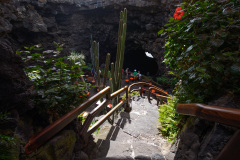 LAN_0565