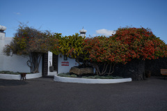 LAN_0617