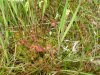 DSCN3721_r16