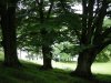 DSCN3754_r16