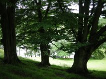 DSCN3754_r16