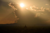 bur_2418_r16