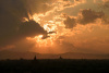 bur_2495_r16