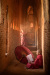 bur_2904_r16