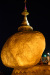 bur_5637_r16