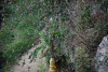bur_6617_r16