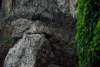 bur_6631_r16