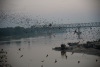 bur_6645_r16