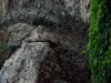 bur_6631_r16