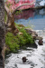 bur_6757_r16