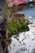 bur_6758_r16