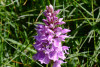 tmb_0013_1_r