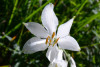 tmb_0019_1_r