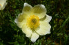 tmb_0057_1_r