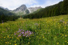 tmb_0138_r