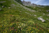 tmb_0145_r
