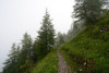 tmb_0678_r
