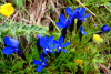 tmb_0686_1_r
