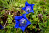 tmb_0695_1_r