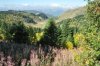 vra_0446_r