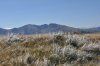vra_0482_r