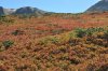 vra_0558_r