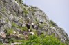 mon_0044_r