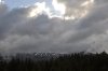 mon_0365_r