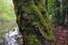 mon_0561_r