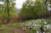 mon_0611_r