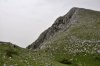 mon_0959_r
