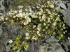 dscn0060_r