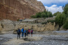 MUS_0672
