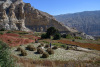 MUS_0765
