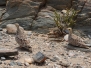 namibia09