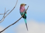 namibia11