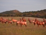 namibia12