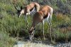 nam_3454_1_r16