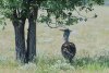 nam_3505_1_r16